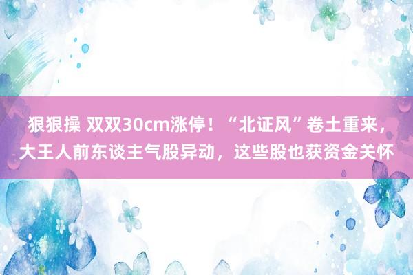 狠狠操 双双30cm涨停！“北证风”卷土重来，大王人前东谈主气股异动，这些股也获资金关怀