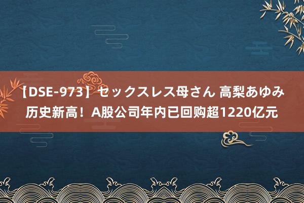 【DSE-973】セックスレス母さん 高梨あゆみ 历史新高！A股公司年内已回购超1220亿元