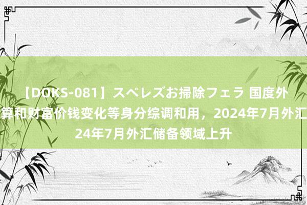 【DOKS-081】スペレズお掃除フェラ 国度外汇局：汇率折算和财富价钱变化等身分综调和用，2024年7月外汇储备领域上升