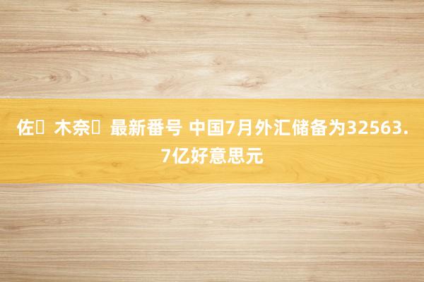 佐々木奈々最新番号 中国7月外汇储备为32563.7亿好意思元