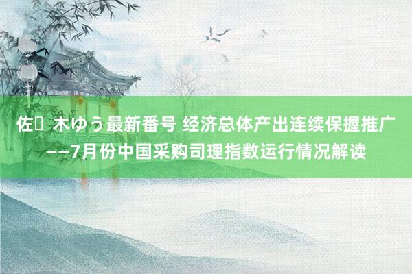 佐々木ゆう最新番号 经济总体产出连续保握推广——7月份中国采购司理指数运行情况解读