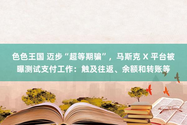 色色王国 迈步“超等期骗”，马斯克 X 平台被曝测试支付工作：触及往返、余额和转账等