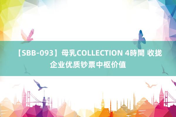 【SBB-093】母乳COLLECTION 4時間 收拢企业优质钞票中枢价值