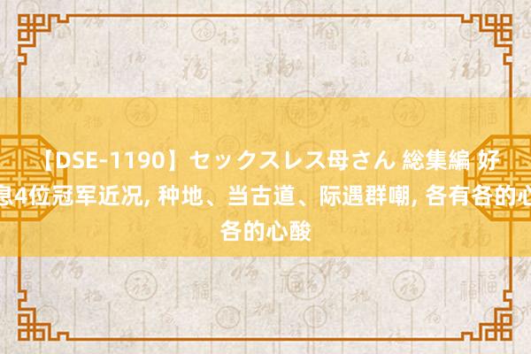 【DSE-1190】セックスレス母さん 総集編 好声息4位冠军近况, 种地、当古道、际遇群嘲, 各有各的心酸