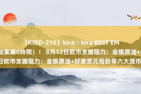 【KIBD-216】kira☆kira BEST EMIRI-中出し性交20発超え-総集編8時間！！ 8月12日欧市支握阻力：金银原油+好意思元指数等六大货币对