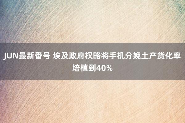 JUN最新番号 埃及政府权略将手机分娩土产货化率培植到40%