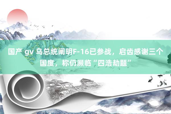 国产 gv 乌总统阐明F-16已参战，启齿感谢三个国度，称仍濒临“四浩劫题”