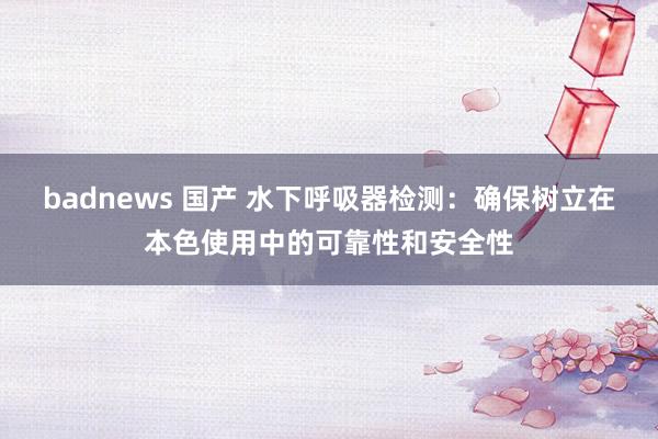 badnews 国产 水下呼吸器检测：确保树立在本色使用中的可靠性和安全性