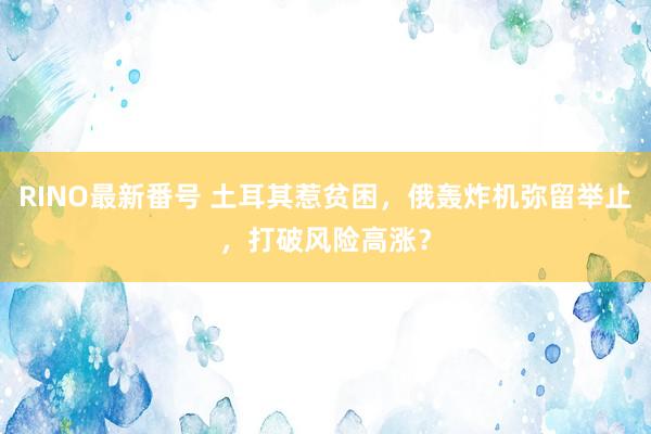 RINO最新番号 土耳其惹贫困，俄轰炸机弥留举止，打破风险高涨？