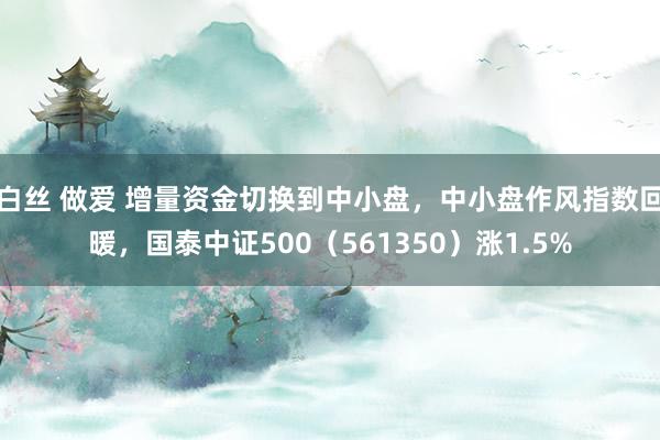 白丝 做爱 增量资金切换到中小盘，中小盘作风指数回暖，国泰中证500（561350）涨1.5%