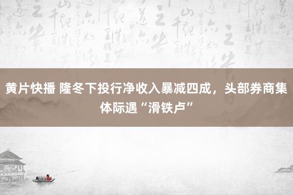 黄片快播 隆冬下投行净收入暴减四成，头部券商集体际遇“滑铁卢”