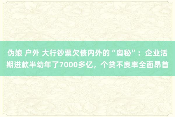 伪娘 户外 大行钞票欠债内外的“奥秘”：企业活期进款半幼年了7000多亿，个贷不良率全面昂首