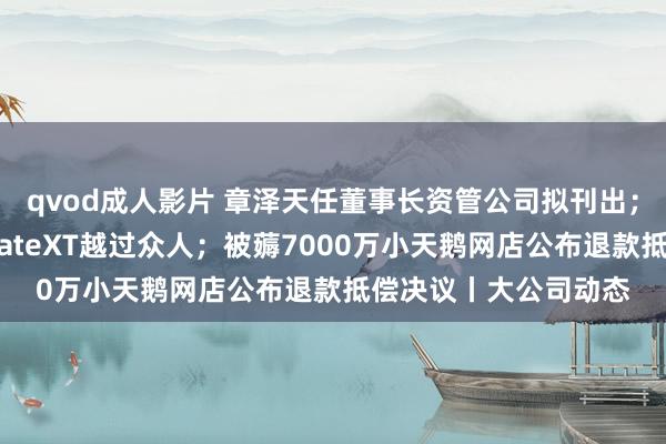 qvod成人影片 章泽天任董事长资管公司拟刊出；华为三折手机定名MateXT越过众人；被薅7000万小天鹅网店公布退款抵偿决议丨大公司动态