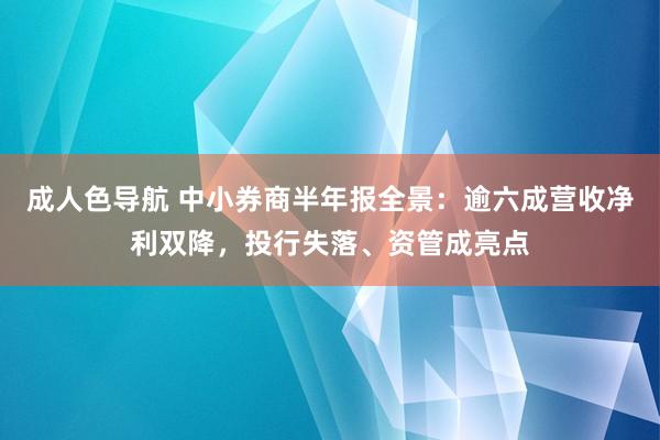 成人色导航 中小券商半年报全景：逾六成营收净利双降，投行失落、资管成亮点