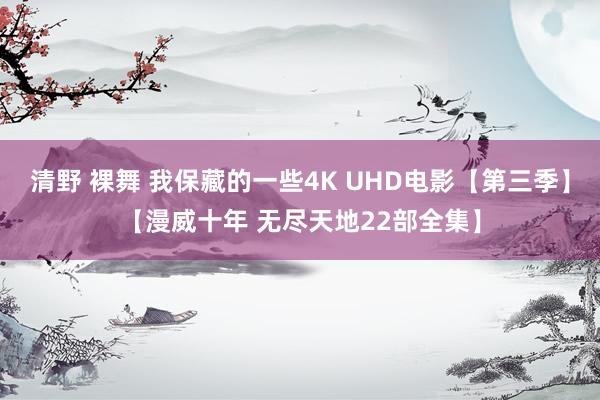 清野 裸舞 我保藏的一些4K UHD电影【第三季】【漫威十年 无尽天地22部全集】