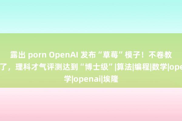 露出 porn OpenAI 发布“草莓”模子！不卷教师卷推理了，理科才气评测达到“博士级”|算法|编程|数学|openai|埃隆